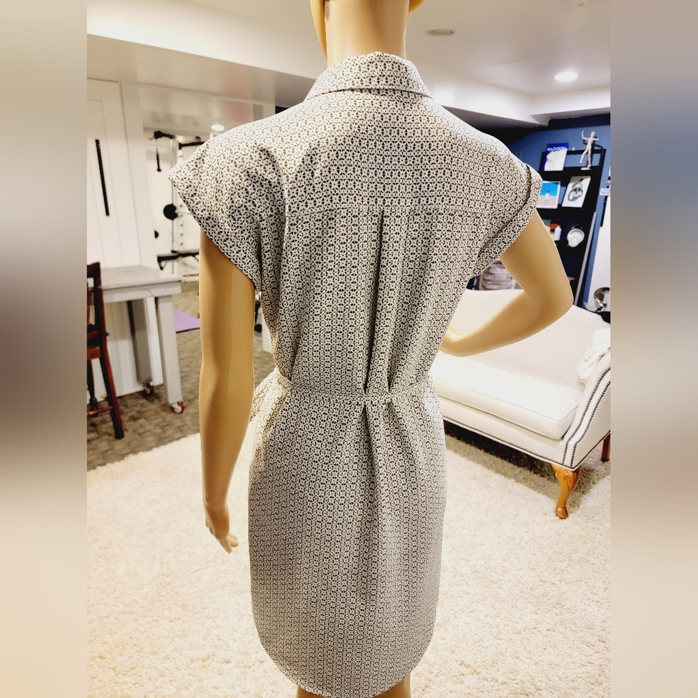 Express Dress - Picture 4 of 4